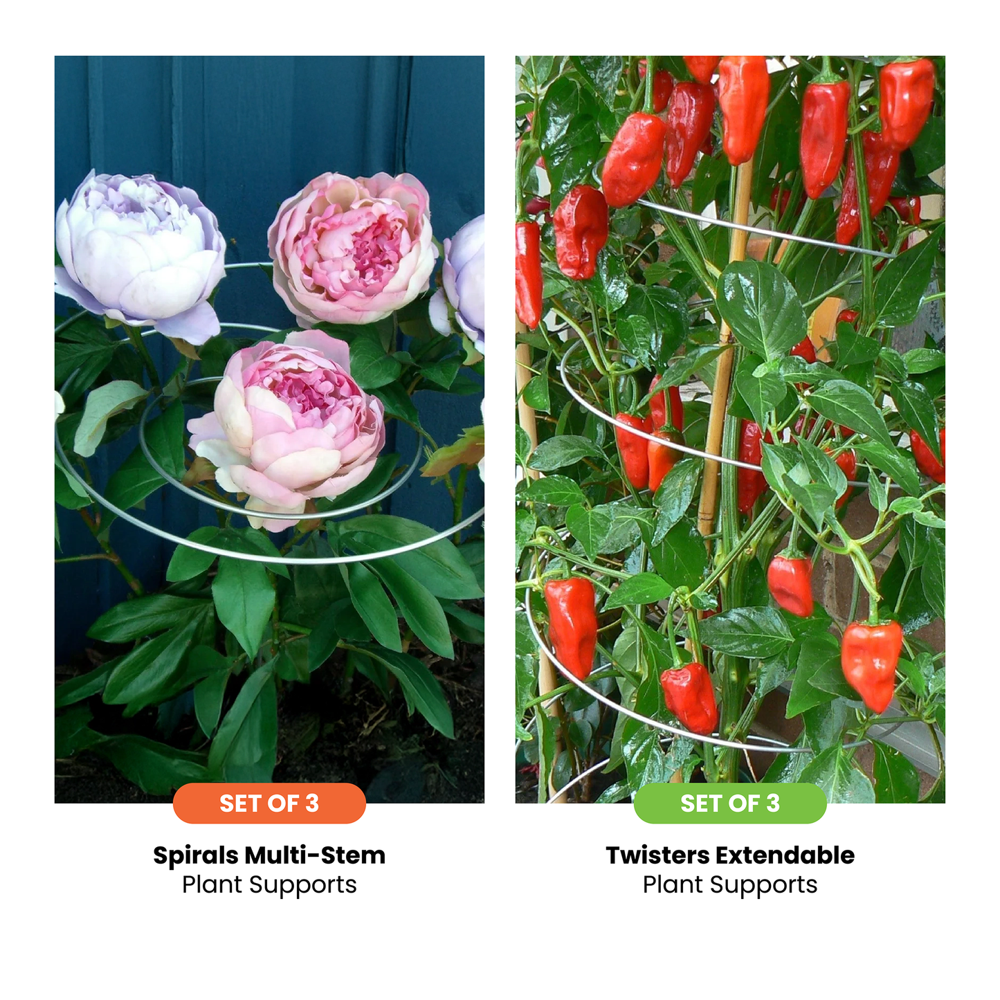 The Gourmet Gardener Bundle