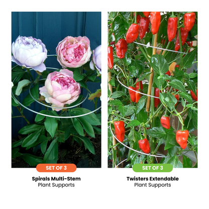 The Gourmet Gardener Bundle