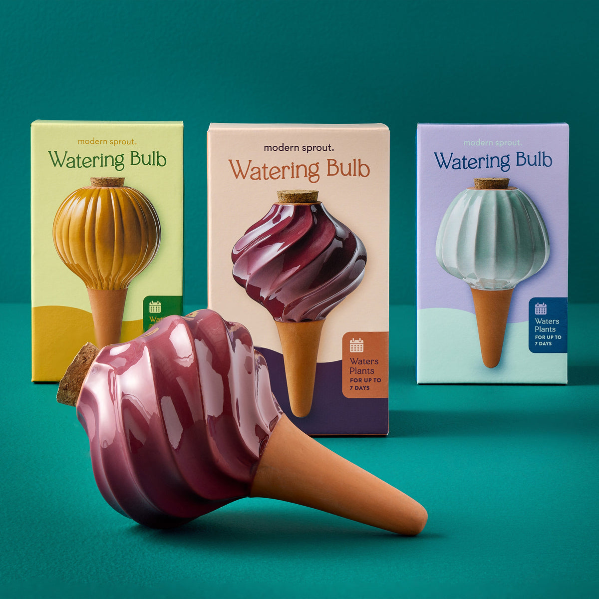 Terracotta Watering Bulbs