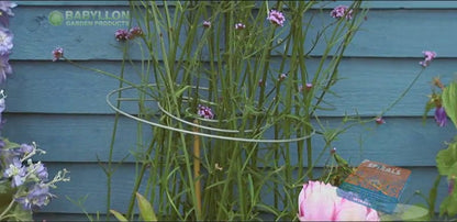 Spirals  Multi-Stem Plant Supports – Set of 3